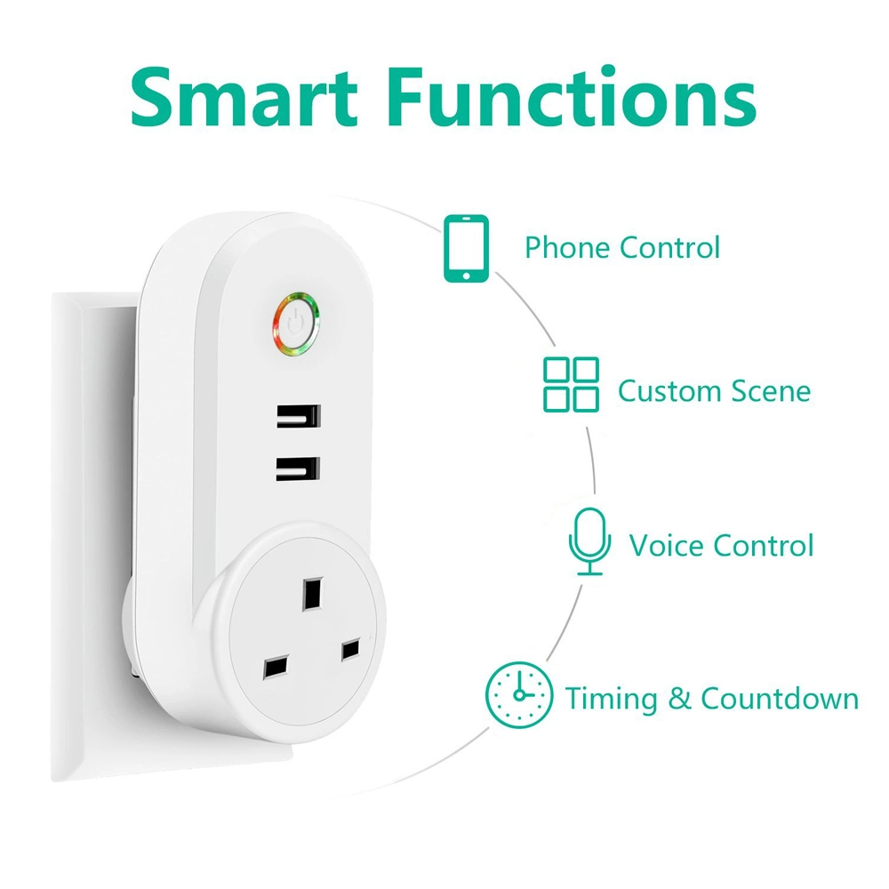 Tuya Smart Plug WiFi Socket 2 USB Ports with Timer EU UK