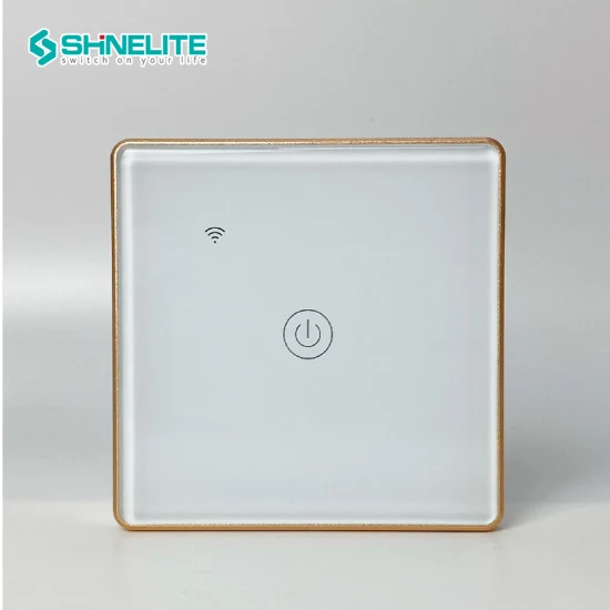 Alexa WiFi Switch Sistema di controllo della luce da parete Smart Switch WiFi a 1 banda